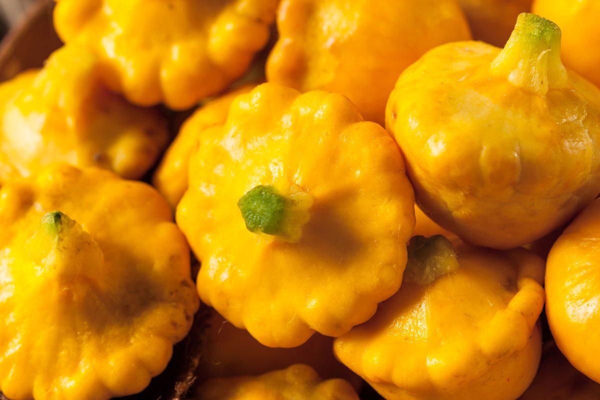 Calabaza Pattypan - Fine Dining Lovers