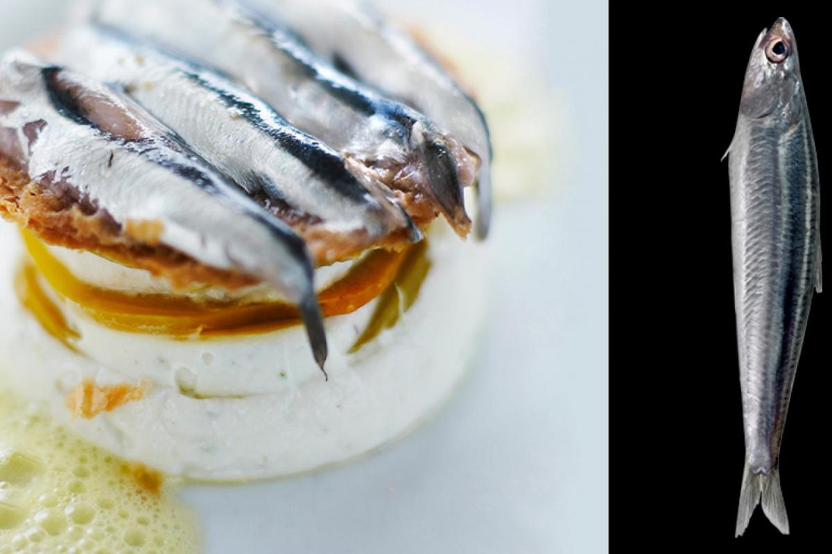 Anchoas