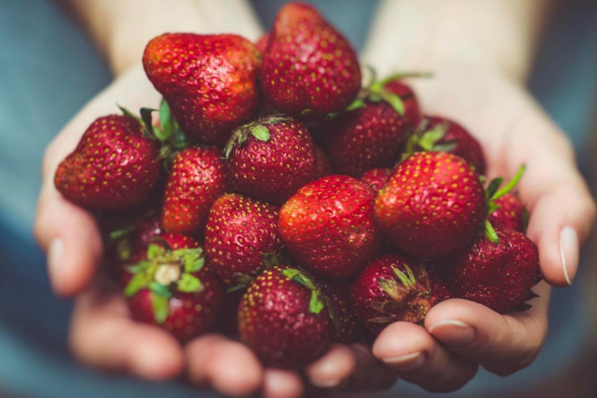 Fruta roja fresas