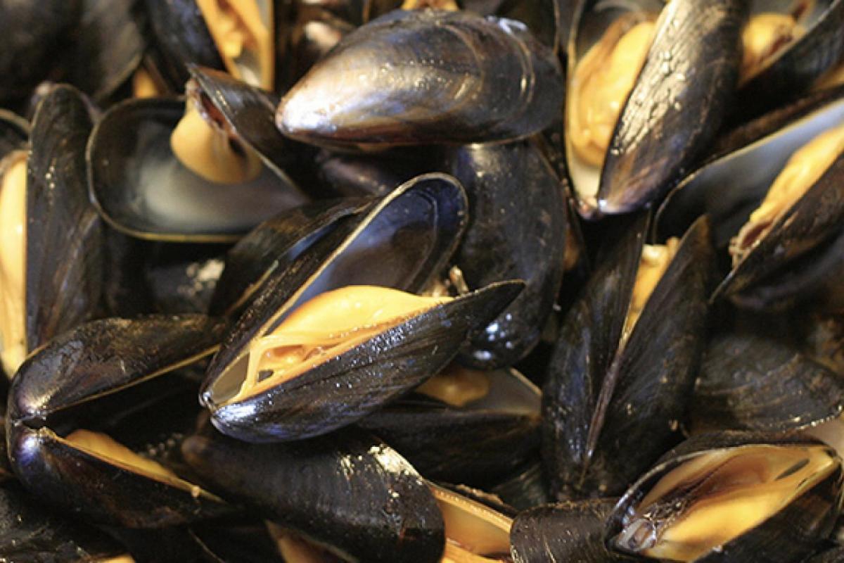 Mejillones
