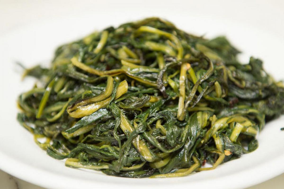 Achicoria