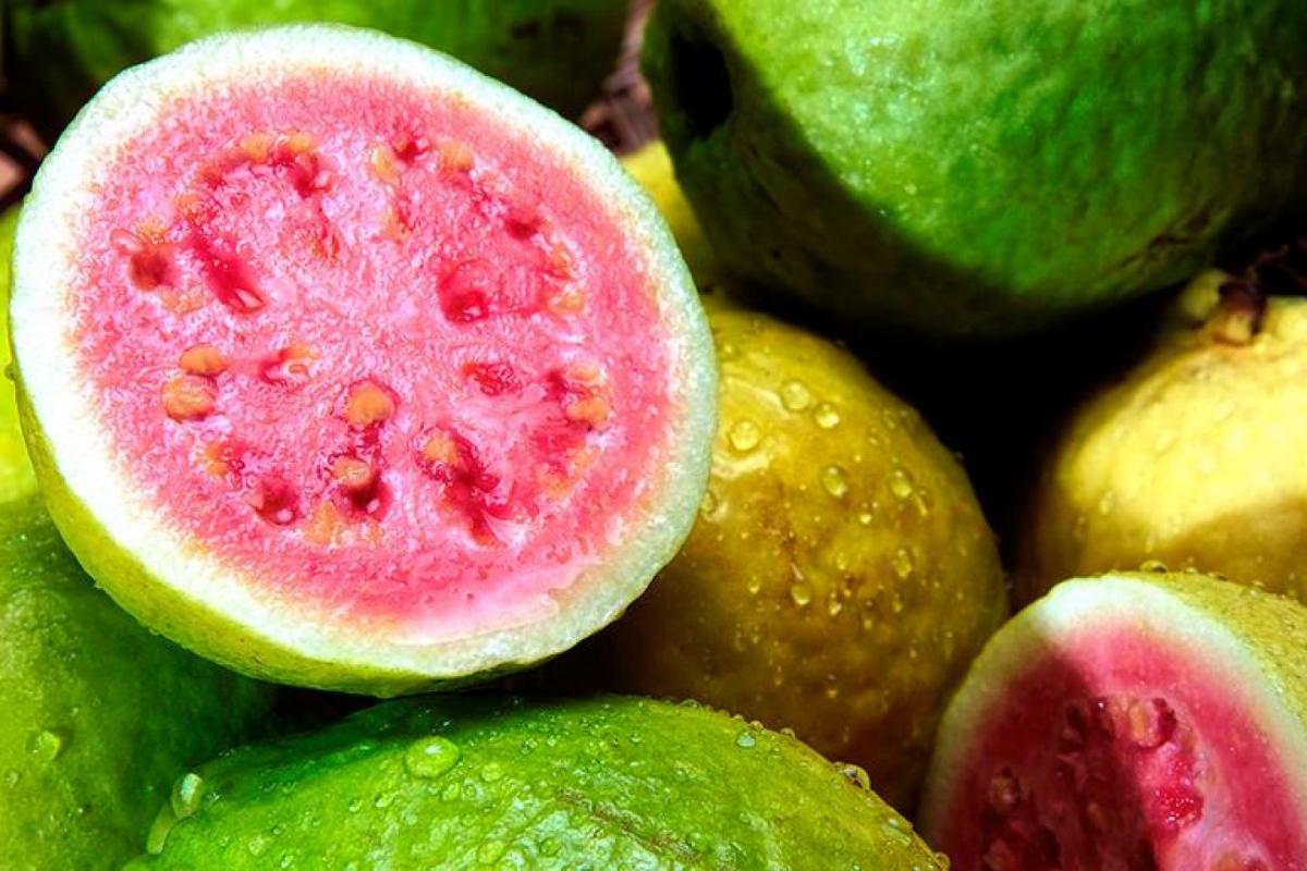 Guayaba