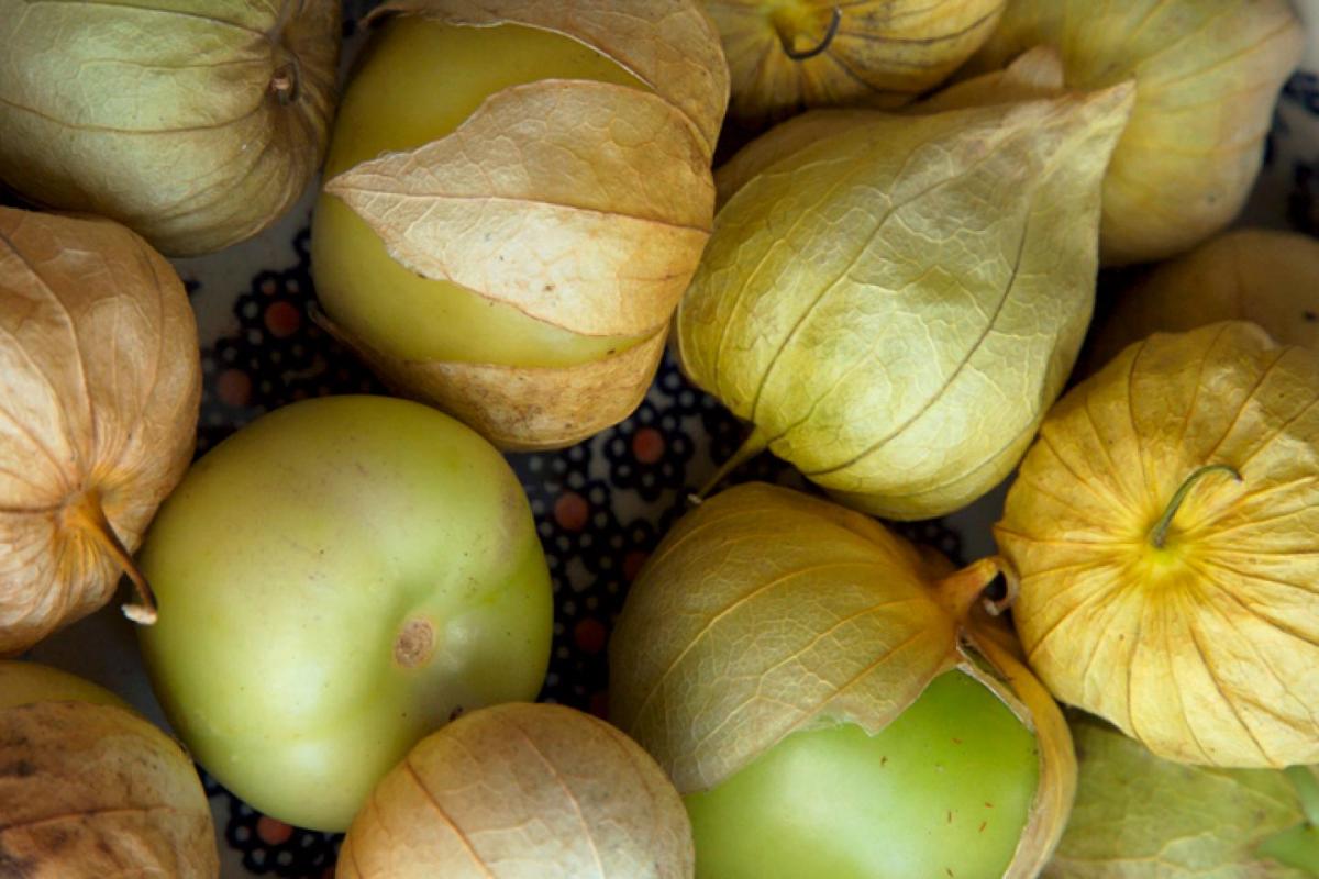 Tomatillo