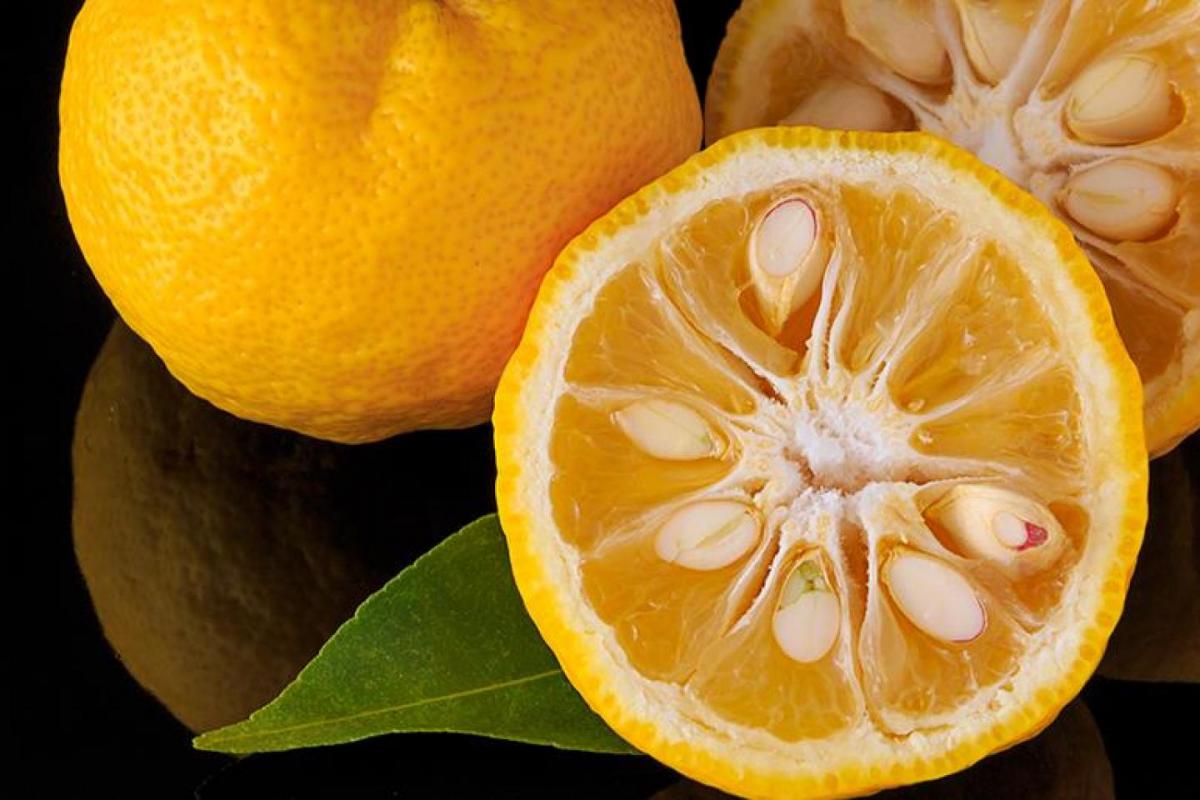 Yuzu
