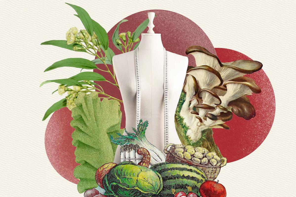 Moda vegetariana