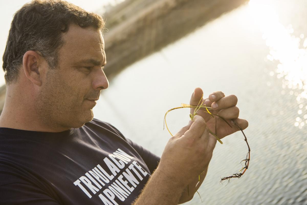 Angel Leon Aponiente arroz marino