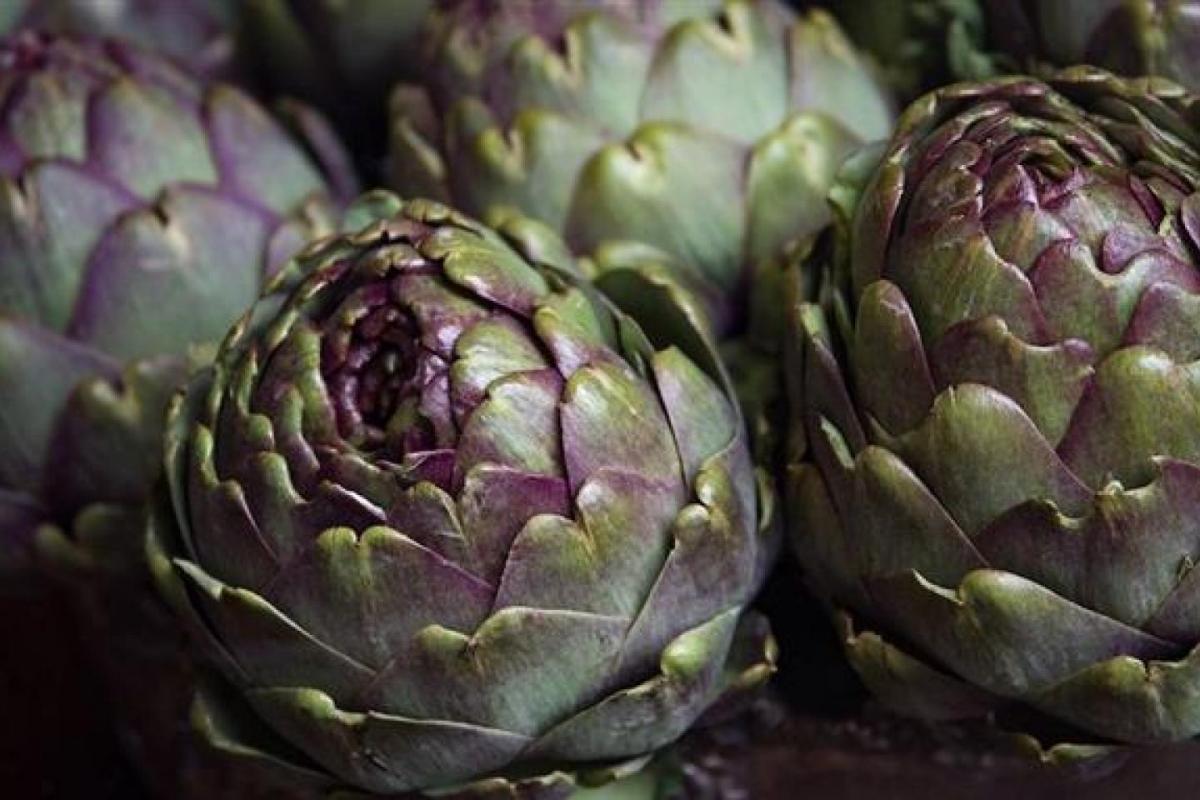 como cocinar alcachofas