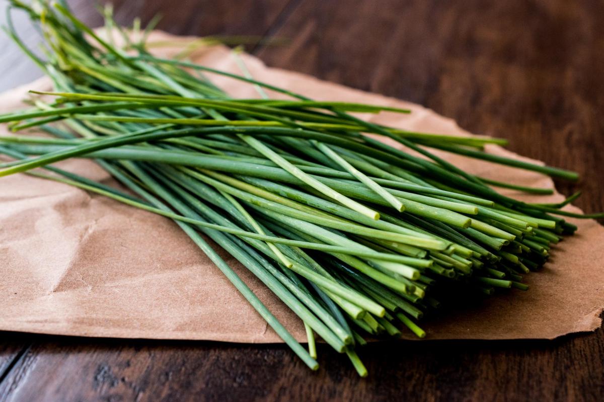 Allium schoenoprasum  - Fine Dining Lovers