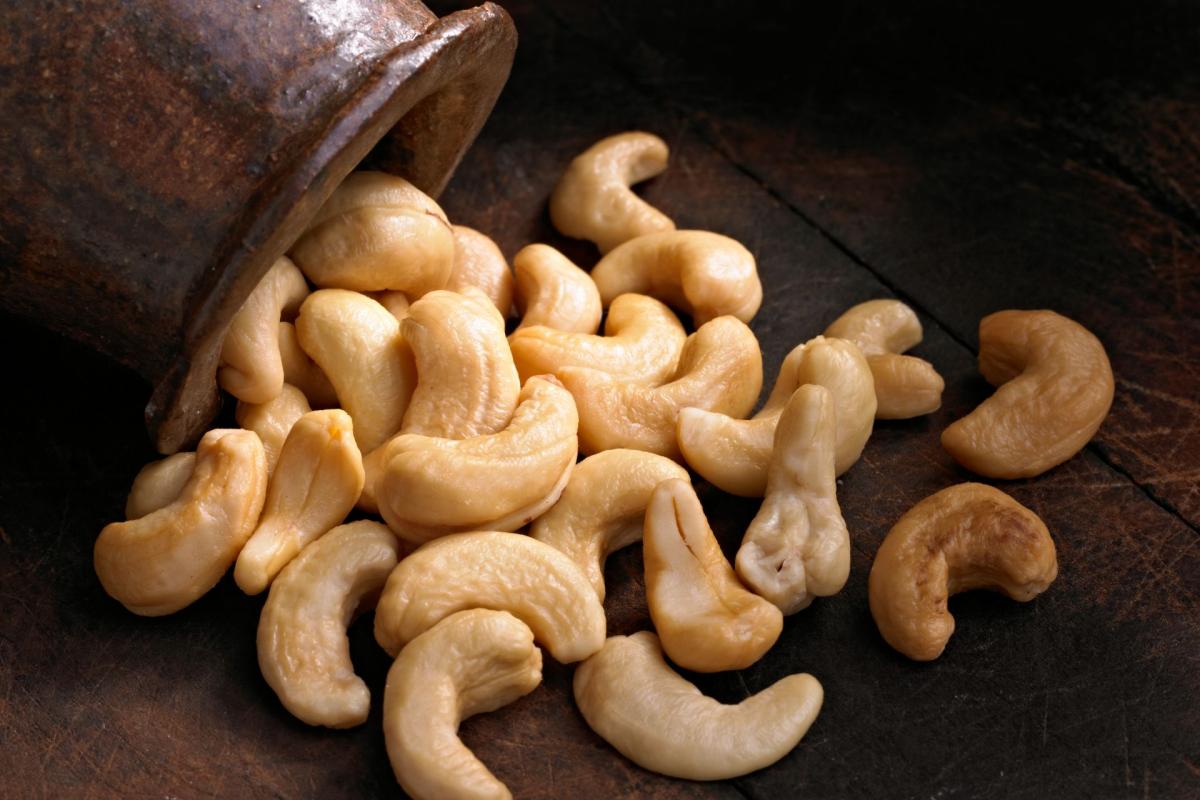 anacardo