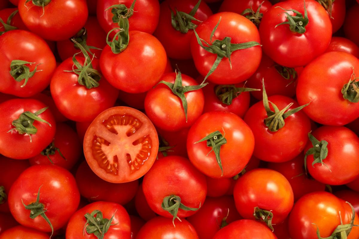 tomate-fruta-verdura-hortaliza