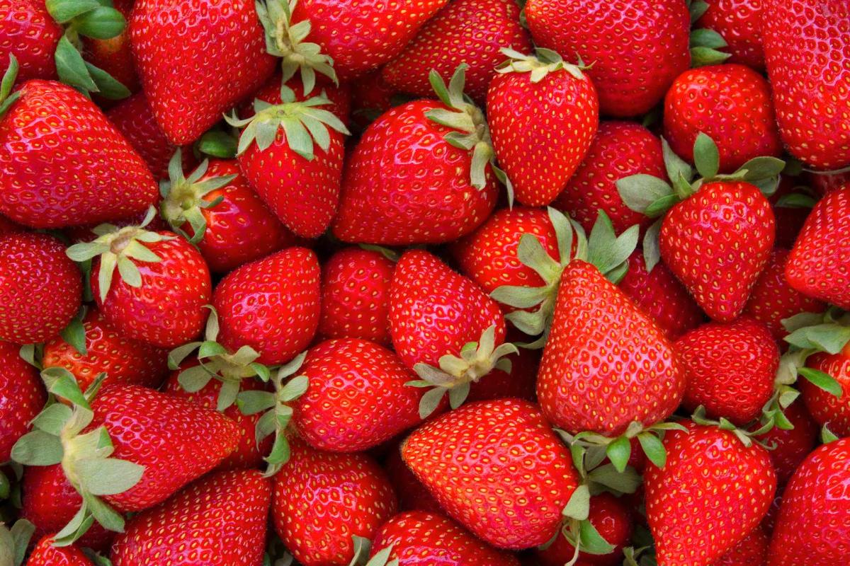 fresas