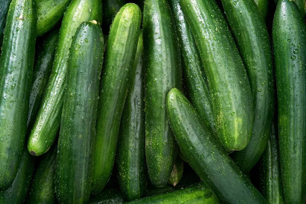 Las variedades de pepino más comunes y cómo comerlas