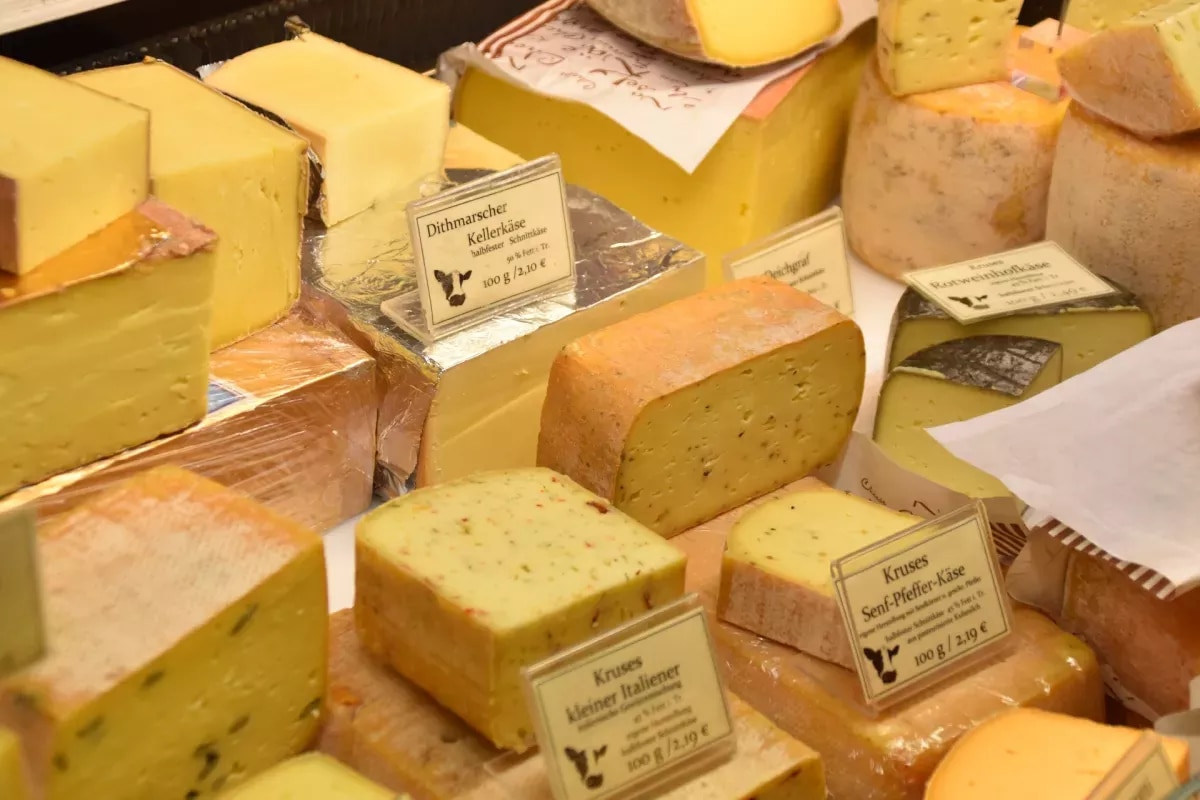 Los distintos tipos de queso y sus usos