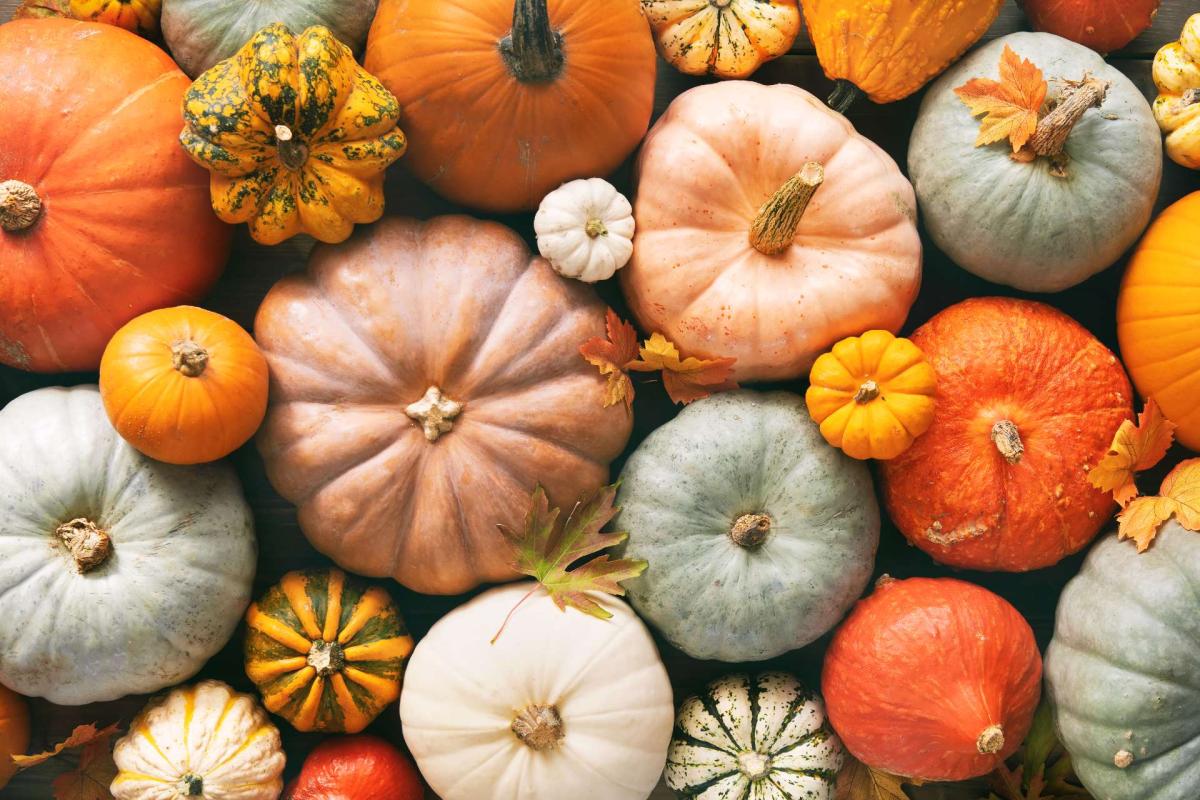 calabaza