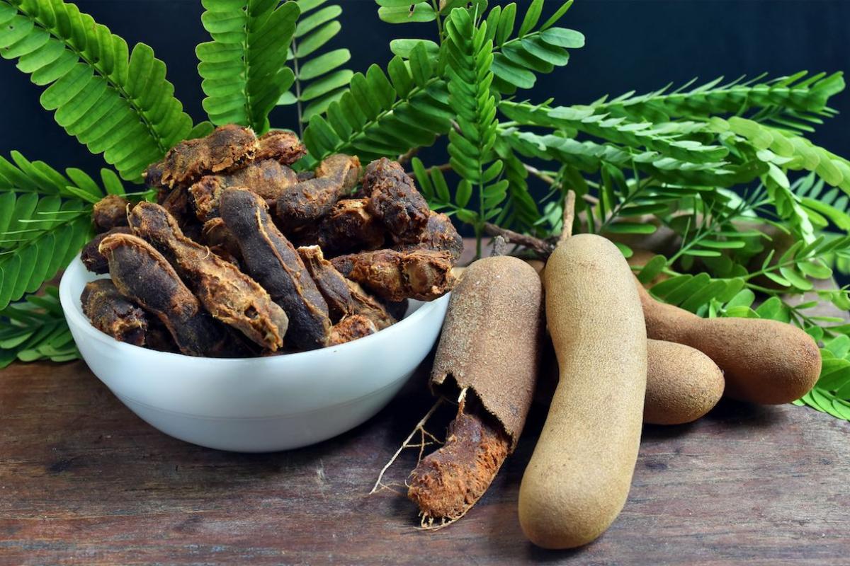 Tamarindo: propiedades, beneficios y usos