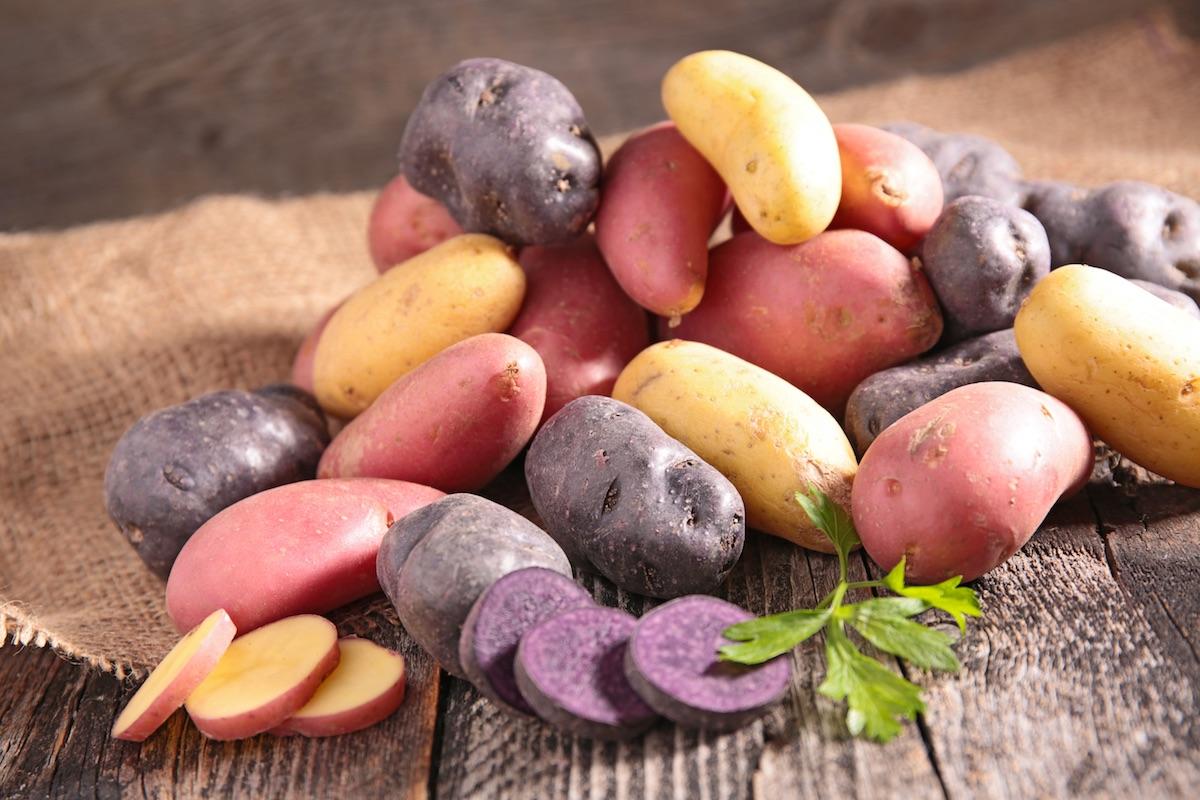 Tipos de patatas: nombres y usos