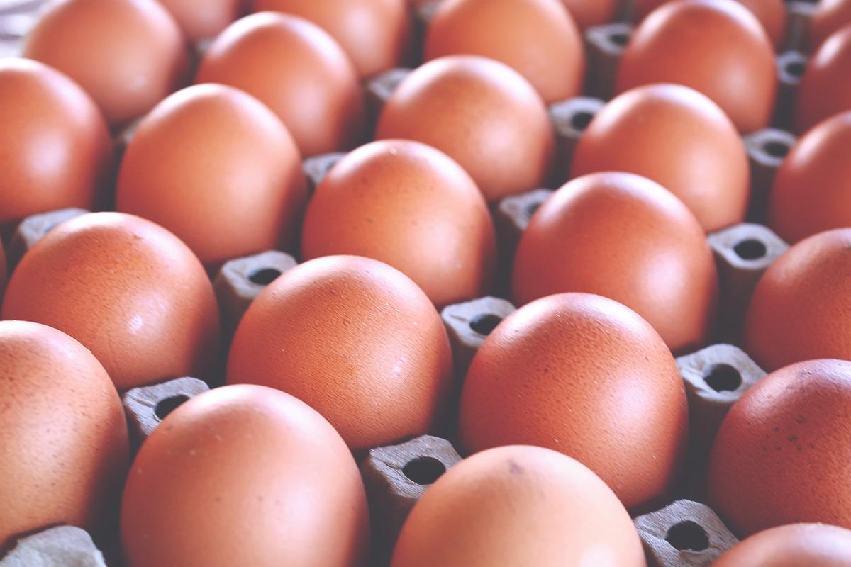 Huevos