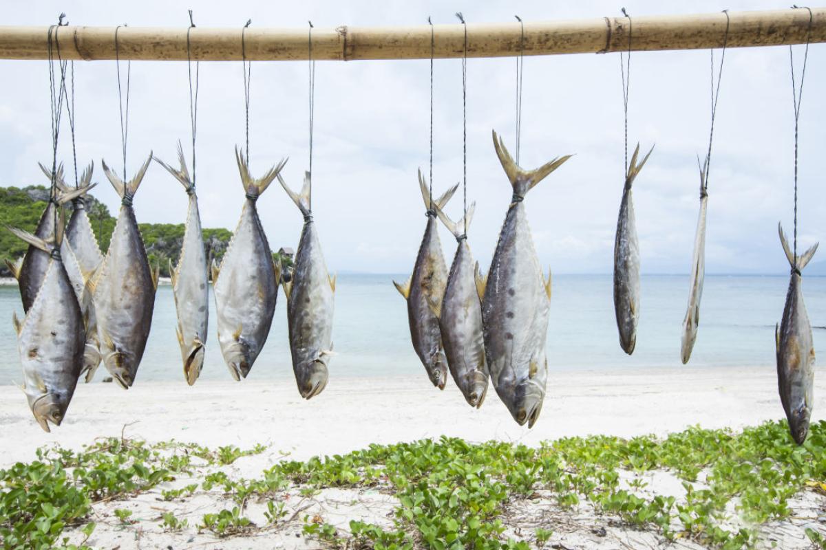 Diferentes tipos de pescado blanco y cómo cocinarlos