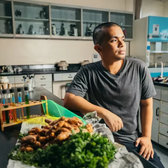 ¿Puede la energía solar acabar con el desperdicio de alimentos?