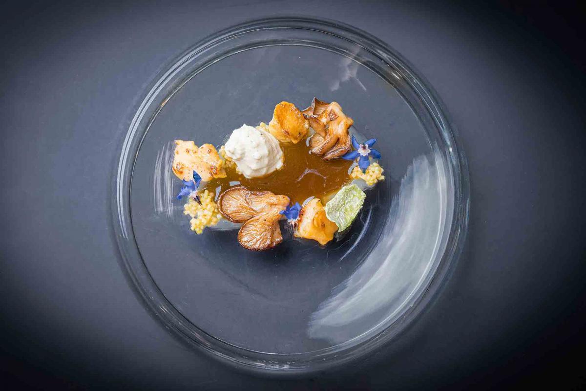 Black-sea-rapa-whelk-with-mushrooms-grown-on-lemon-peels