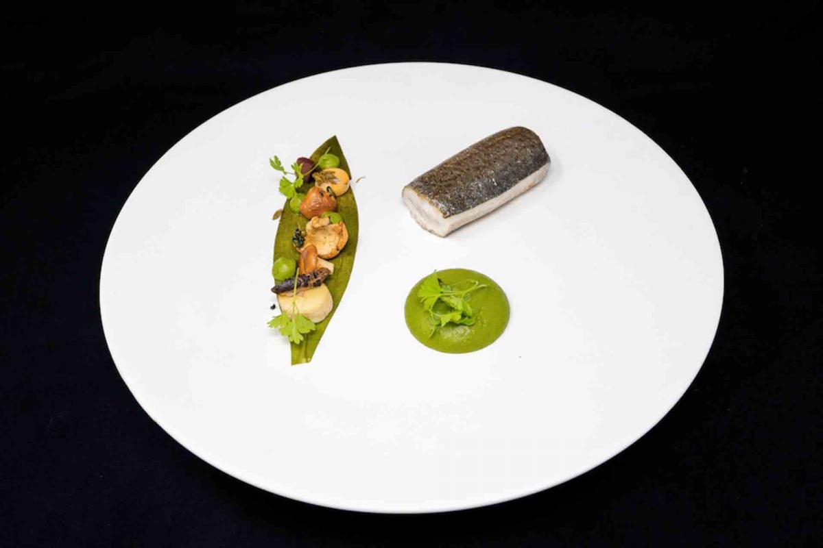 Rainbow-Trout-with-chervil,-forest-mushrooms-and-wild-garlic