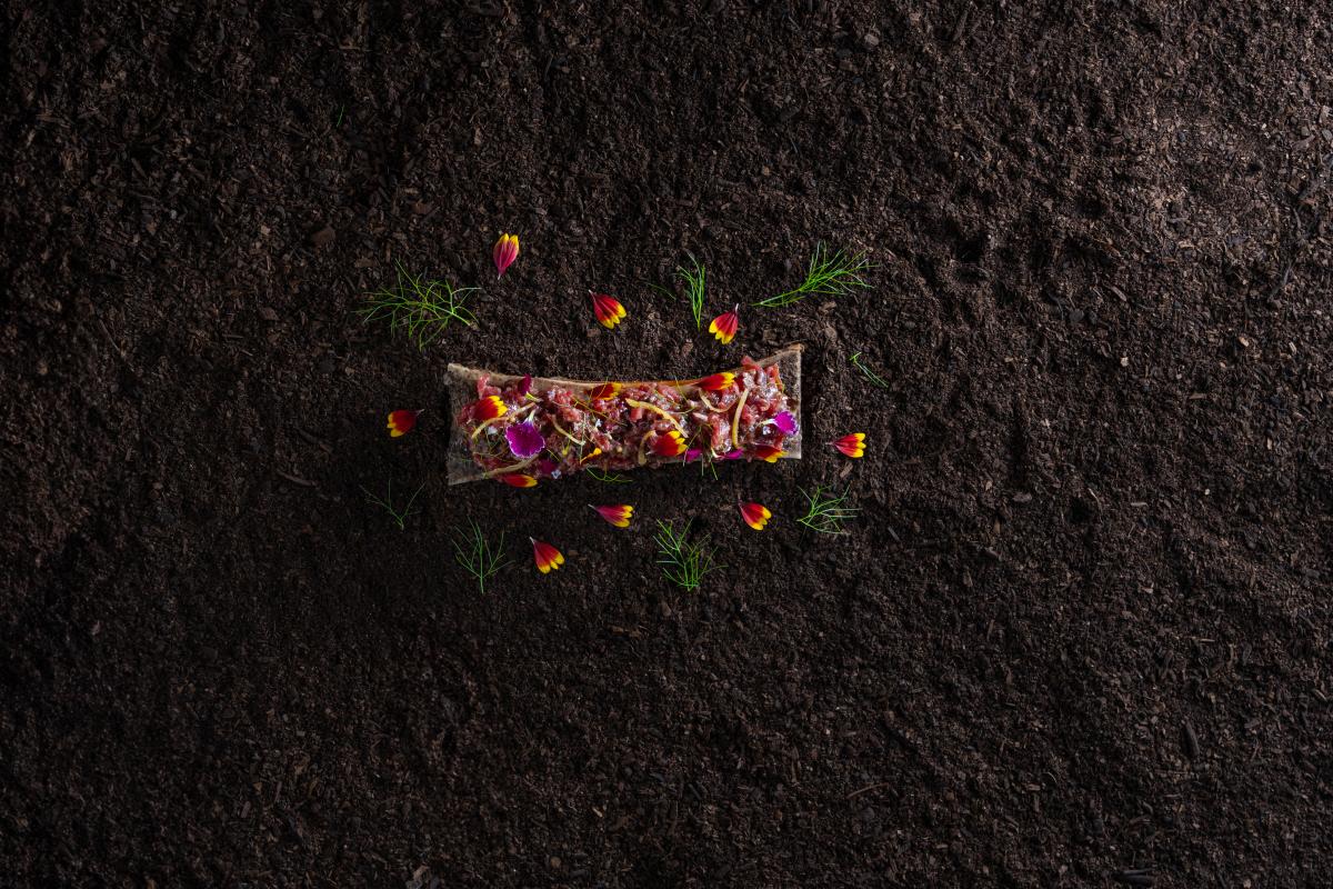 Tartare de lomo koji y tuétano